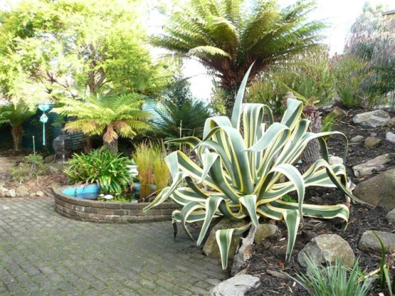 423 Nelson Road, Mount Nelson TAS 7007