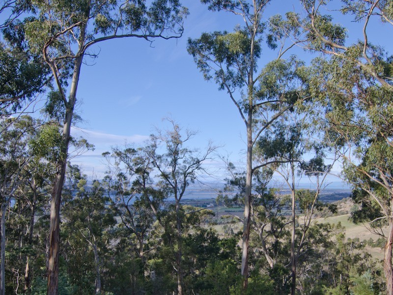 95 Thomas Street, Dulcot TAS 7025