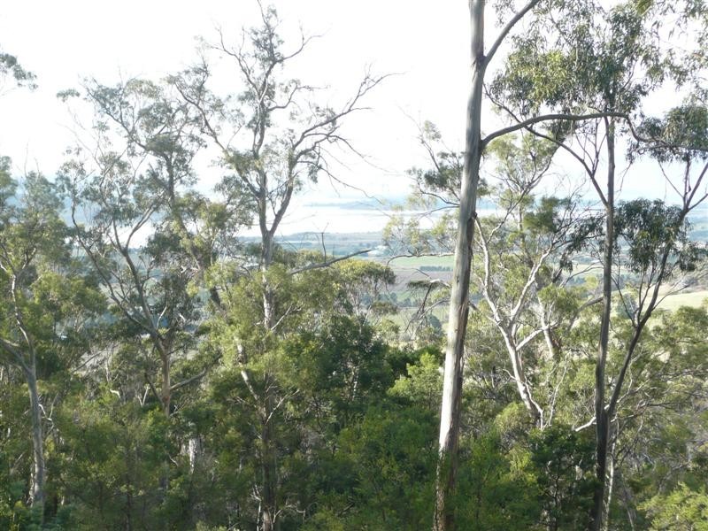 95 Thomas Street, Dulcot TAS 7025