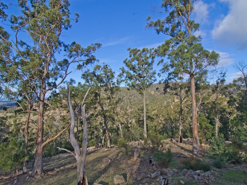 95 Thomas Street, Dulcot TAS 7025