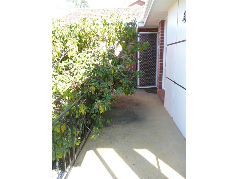 6 Coolangatta Street, Lindisfarne TAS 7015