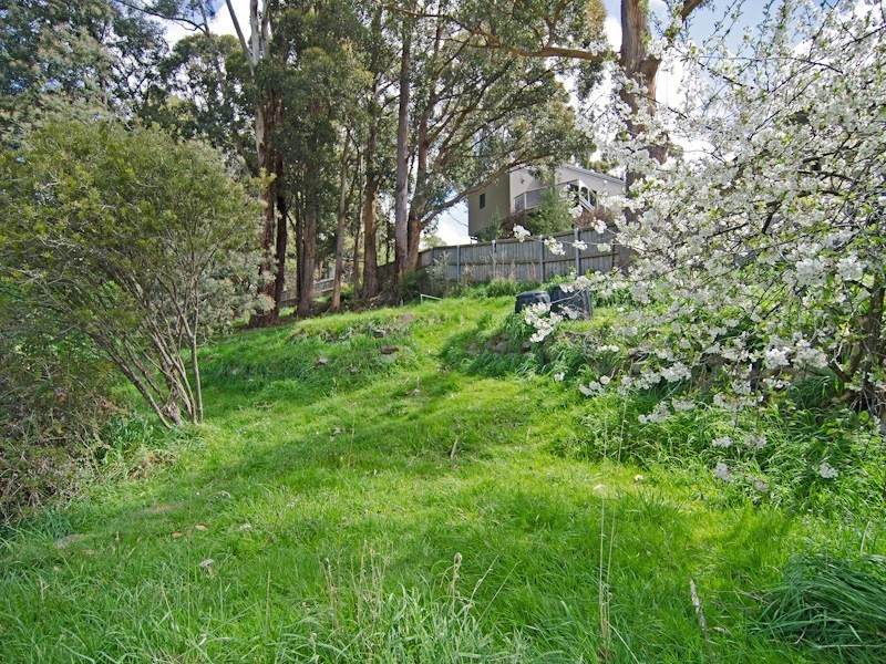 178 Strickland Avenue, South Hobart TAS 7004