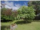 55 Princes Street, Sandy Bay TAS 7005