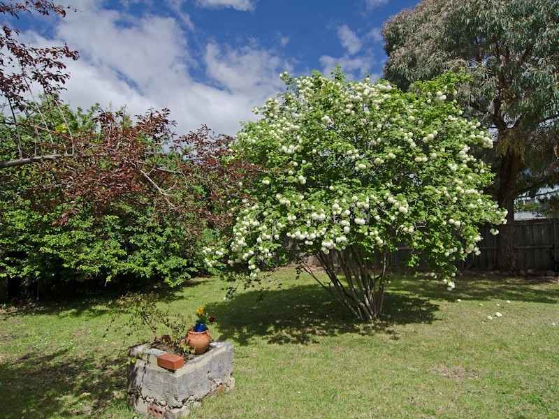 55 Princes Street, Sandy Bay TAS 7005