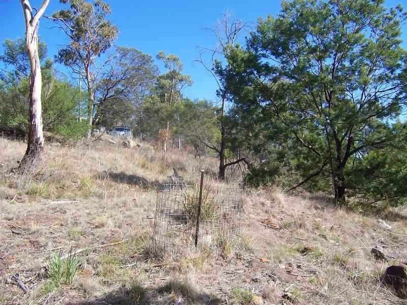 55 Tolpuddle Drive, Richmond TAS 7025