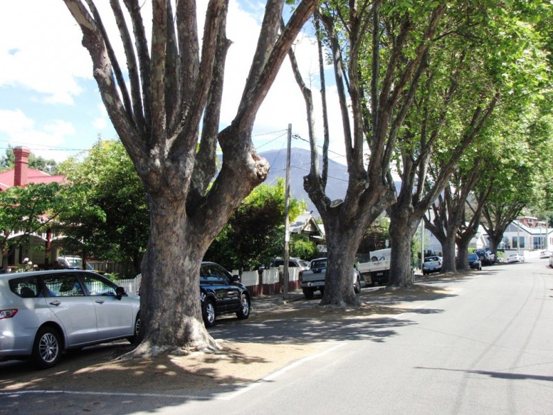 31 Quayle Street, Sandy Bay TAS 7005