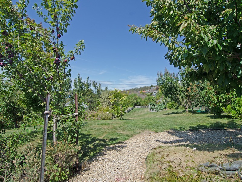 71 Fisher Avenue, Sandy Bay TAS 7005