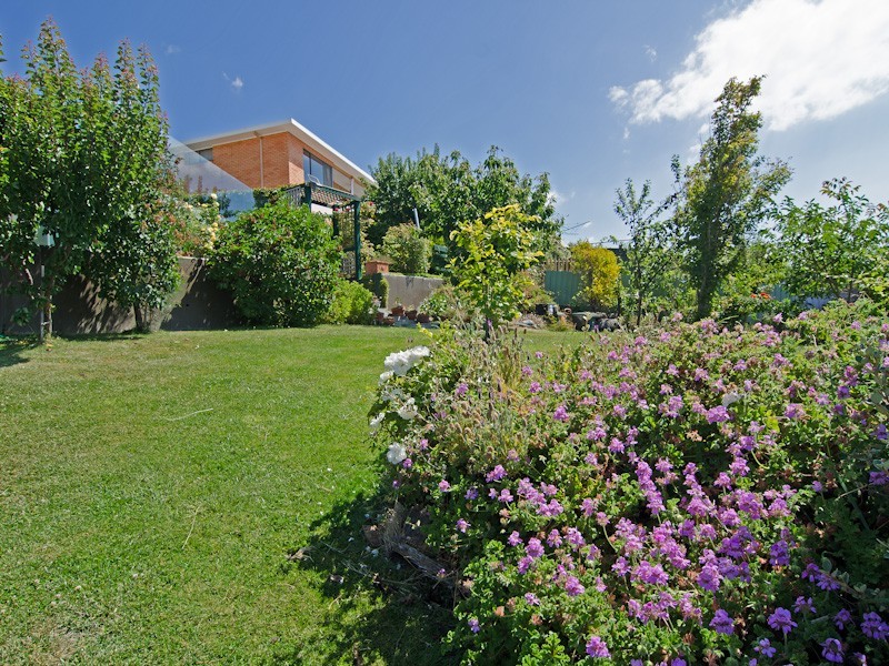 71 Fisher Avenue, Sandy Bay TAS 7005