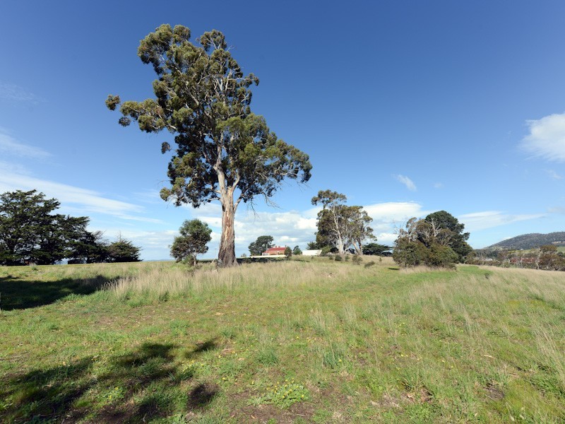 76 Backhouse Lane, Cambridge TAS 7170
