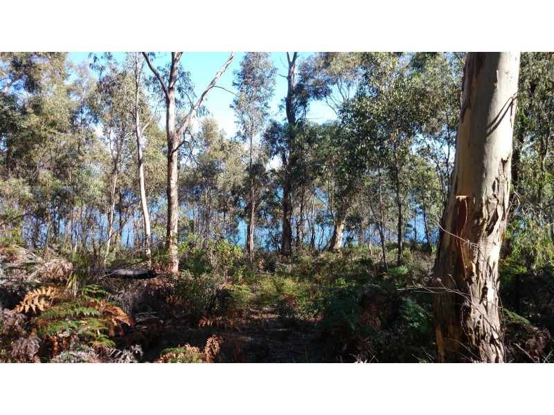 27 Grundys Road, Lunawanna TAS 7150