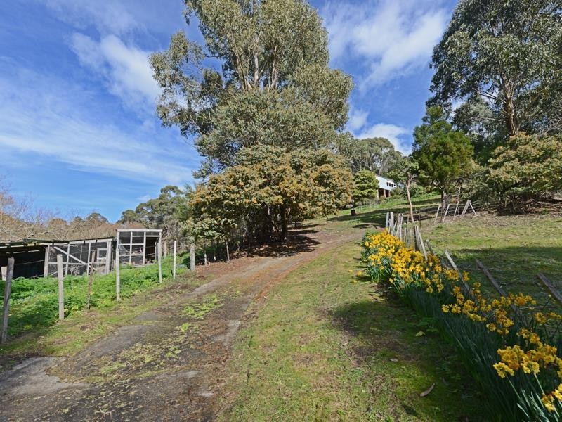 41 Brushy Creek Road, Lenah Valley TAS 7008
