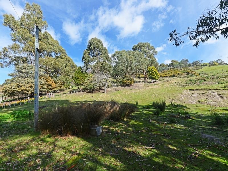 41 Brushy Creek Road, Lenah Valley TAS 7008