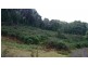 37 Paddys Lane, Franklin TAS 7113