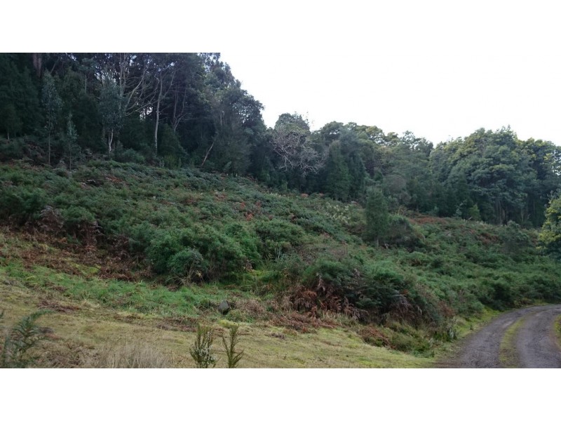 37 Paddys Lane, Franklin TAS 7113