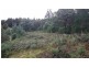 37 Paddys Lane, Franklin TAS 7113