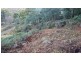 37 Paddys Lane, Franklin TAS 7113