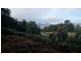 37 Paddys Lane, Franklin TAS 7113