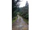 37 Paddys Lane, Franklin TAS 7113