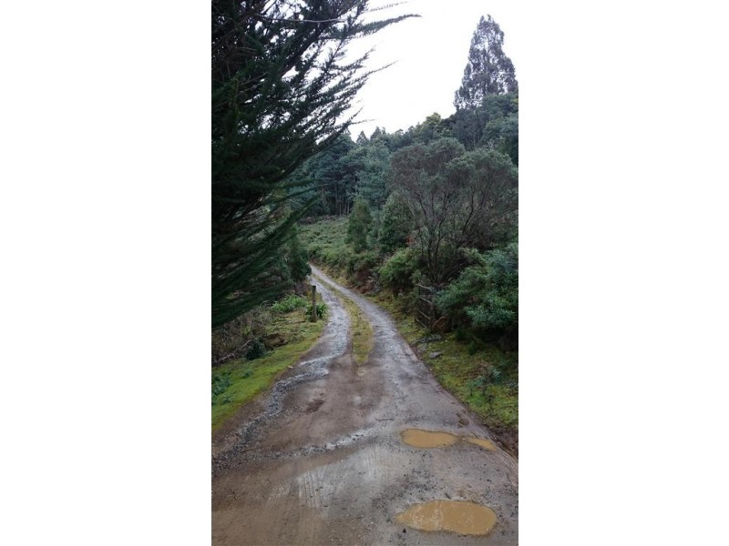 37 Paddys Lane, Franklin TAS 7113