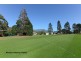 12 Beechworth Road, Sandy Bay TAS 7005