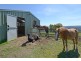 270 Leslie Road, Kingston TAS 7050
