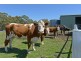 270 Leslie Road, Kingston TAS 7050