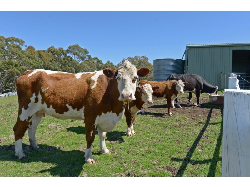 270 Leslie Road, Kingston TAS 7050