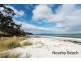 Lot 15 Big Roaring Beach Road, Surveyors Bay TAS 7116