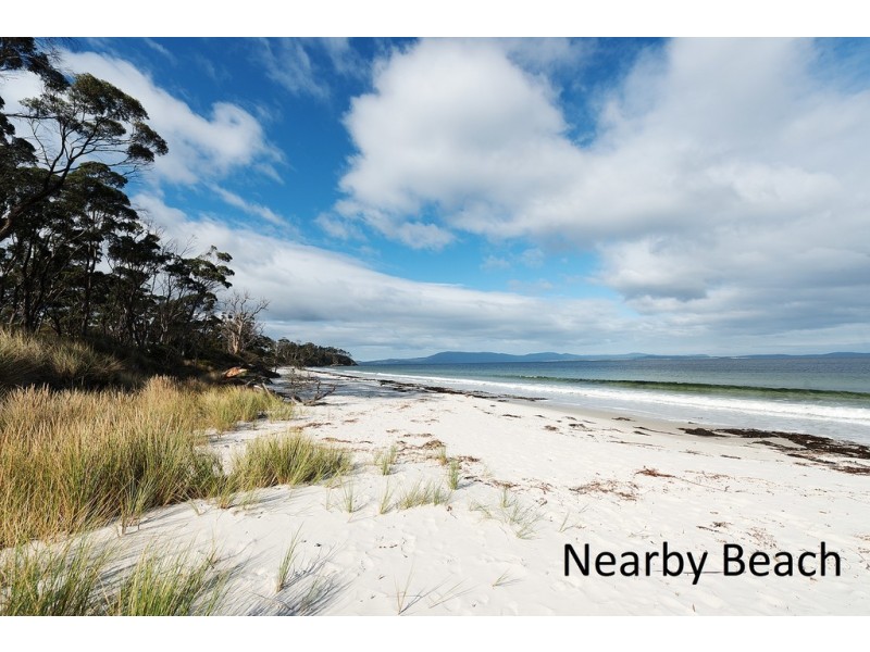 Lot 15 Big Roaring Beach Road, Surveyors Bay TAS 7116