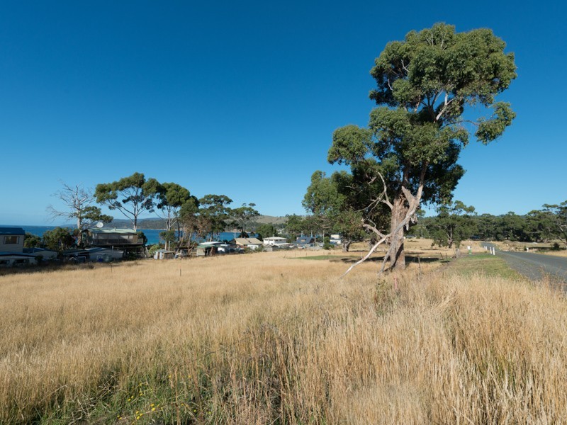 52 Dunn Drive, Surveyors Bay TAS 7116