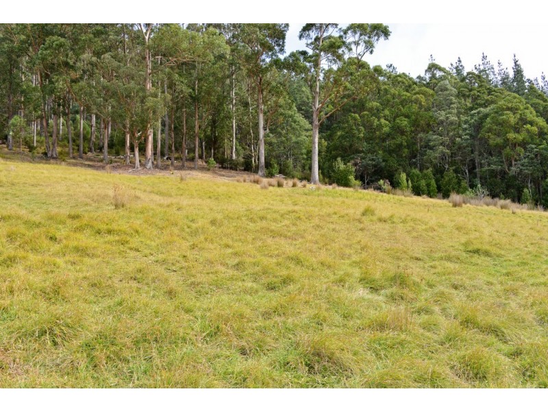 35 Steeles Road, Nicholls Rivulet TAS 7112