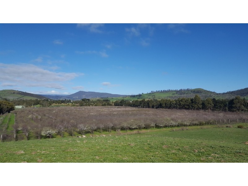 Lot 2 and 3 Prossers Road, Richmond TAS 7025