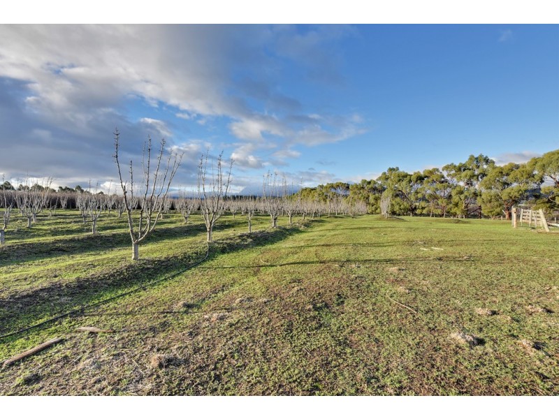 Lot 2 and 3 Prossers Road, Richmond TAS 7025