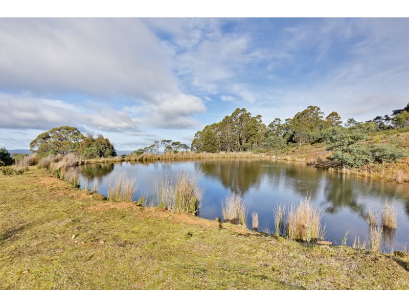 242 North Yarlington Road, Colebrook TAS 7027