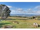 242 North Yarlington Road, Colebrook TAS 7027