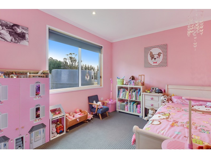 242 North Yarlington Road, Colebrook TAS 7027