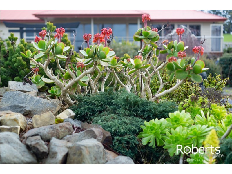 36 Sunset Boulevard, Clarence Point TAS 7270