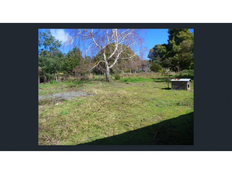 15 Douglas Street, Beaconsfield TAS 7270