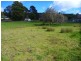 19 Douglas St, Beaconsfield TAS 7270