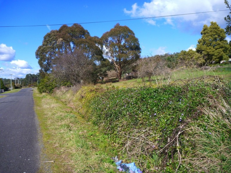 19 Douglas St, Beaconsfield TAS 7270