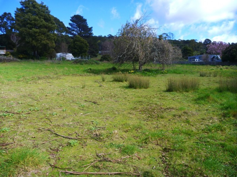 19 Douglas St, Beaconsfield TAS 7270