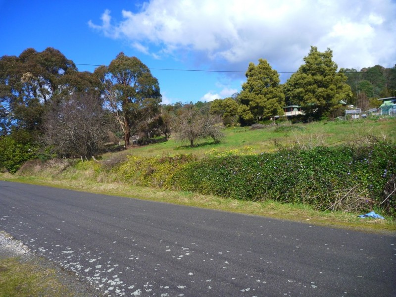 19 Douglas St, Beaconsfield TAS 7270