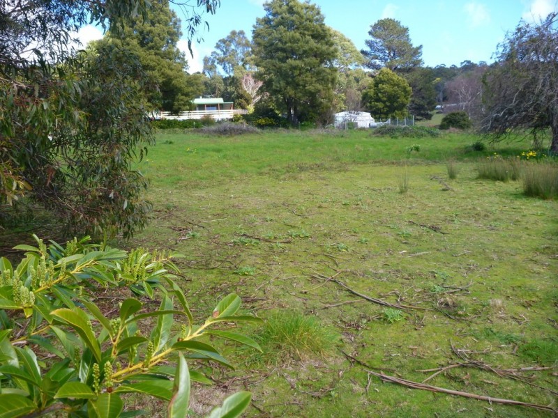 19 Douglas St, Beaconsfield TAS 7270