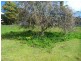 19 Douglas St, Beaconsfield TAS 7270
