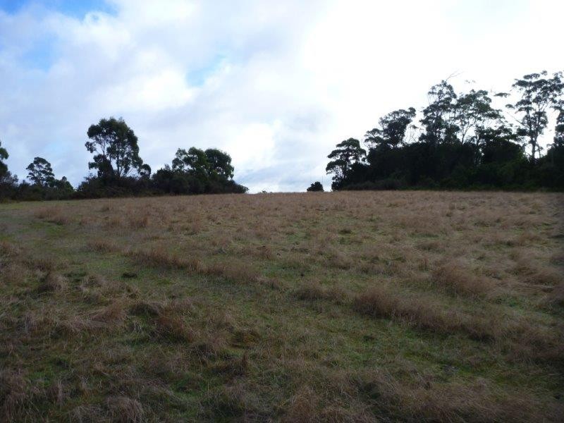 1078 Greens Beach Road, Clarence Point TAS 7270