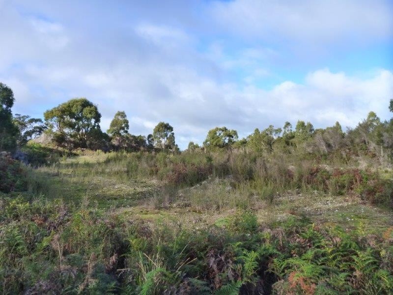 1078 Greens Beach Road, Clarence Point TAS 7270