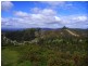 349 Nettlefolds Road, Holwell TAS 7275