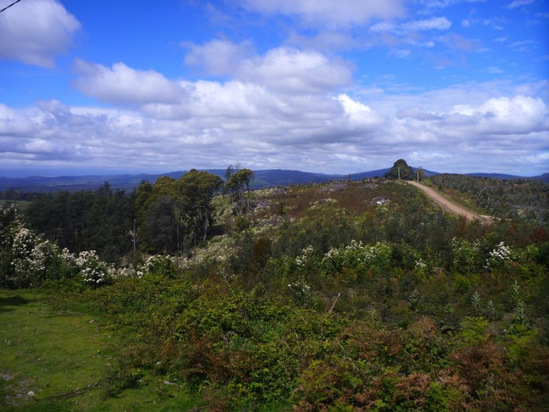 349 Nettlefolds Road, Holwell TAS 7275