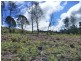349 Nettlefolds Road, Holwell TAS 7275