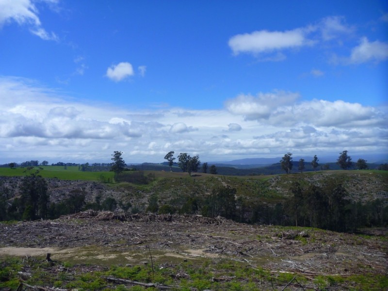 349 Nettlefolds Road, Holwell TAS 7275
